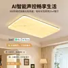 Lámpara de Techo para Sala de Estar Estilo Crema Mármol Artificial Nórdico Textura de Alta Gama Dormitorio Comedor Accesorios de Iluminación para Toda la Casa Q5 Hierro Otro