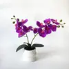 Planta de orquídea Phalaenopsis artificial de 2 ramas y 12 flores en maceta con textura realista, planta verde de flor artificial bonsái para decoración de hotel y boda, maceta pequeña