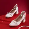 Zapatos Mary Jane Bordados 2023 Primavera Baile Estilo Francés Nuevo Noche Tacón Grueso Zapatos de Salón Elegantes Tacones Altos Mujer Estilo de Noche