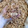 Cogumelos Shiitake Secos Recém-Chegados, Cogumelos Flor de Cultivo 500g, Carne Grossa, Sabor Fragrante, Textura Macia, Fatias de Cogumelo para Atacado
