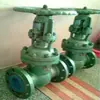 NKZ41H Válvula de Compuerta de Aislamiento por Vacío Válvula de Vacío Suministro Directo de Fábrica Gigante Rongye Suministro en Stock Garantía de Calidad