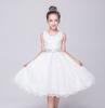 En stock, venta al por mayor, vestido infantil, vestido de princesa infantil, fiesta de cumpleaños, falda de encaje infantil, una generación de cabello