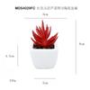 Simulado carnudo vermelho cinco camadas aloe planta em vaso enfeites de mesa presente mini bonsai verde TEMU simulação planta