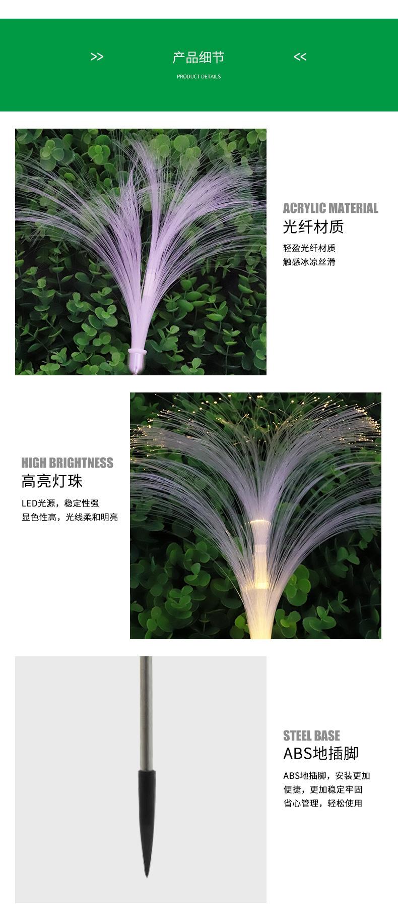 向日葵_08.jpg