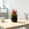 Decoración para el hogar, planta pequeña de aloe vera artificial, adecuada para escritorios de oficina, balcones, como planta verde en maceta, para fondos de fotografía y como adornos decorativos