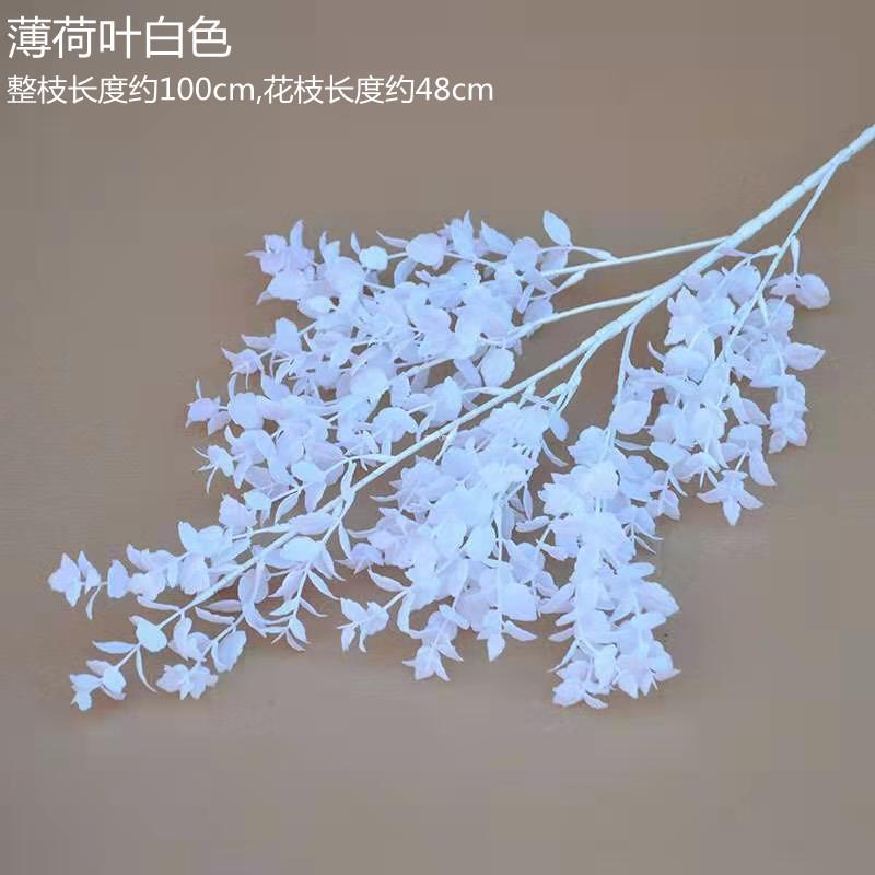 薄荷叶白色