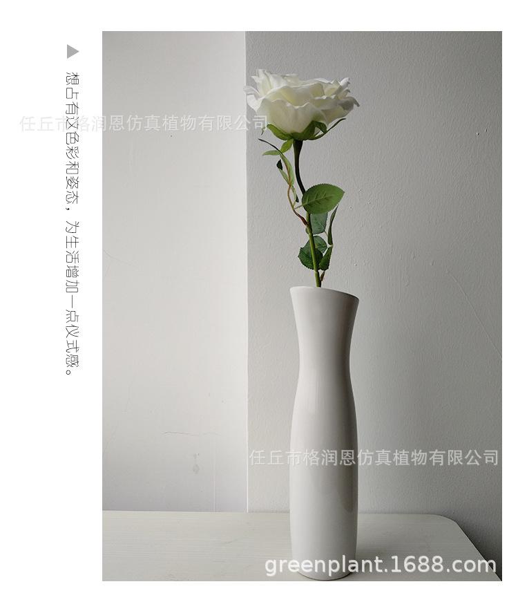 单支玫瑰花_09.jpg