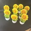 Enfeites e Presentes, Plantas Verdes Simuladas Tricotadas à Mão, Girassóis de Lã, Ganhando o Prêmio Principal na Temporada de Formatura, Vasos de Girassóis