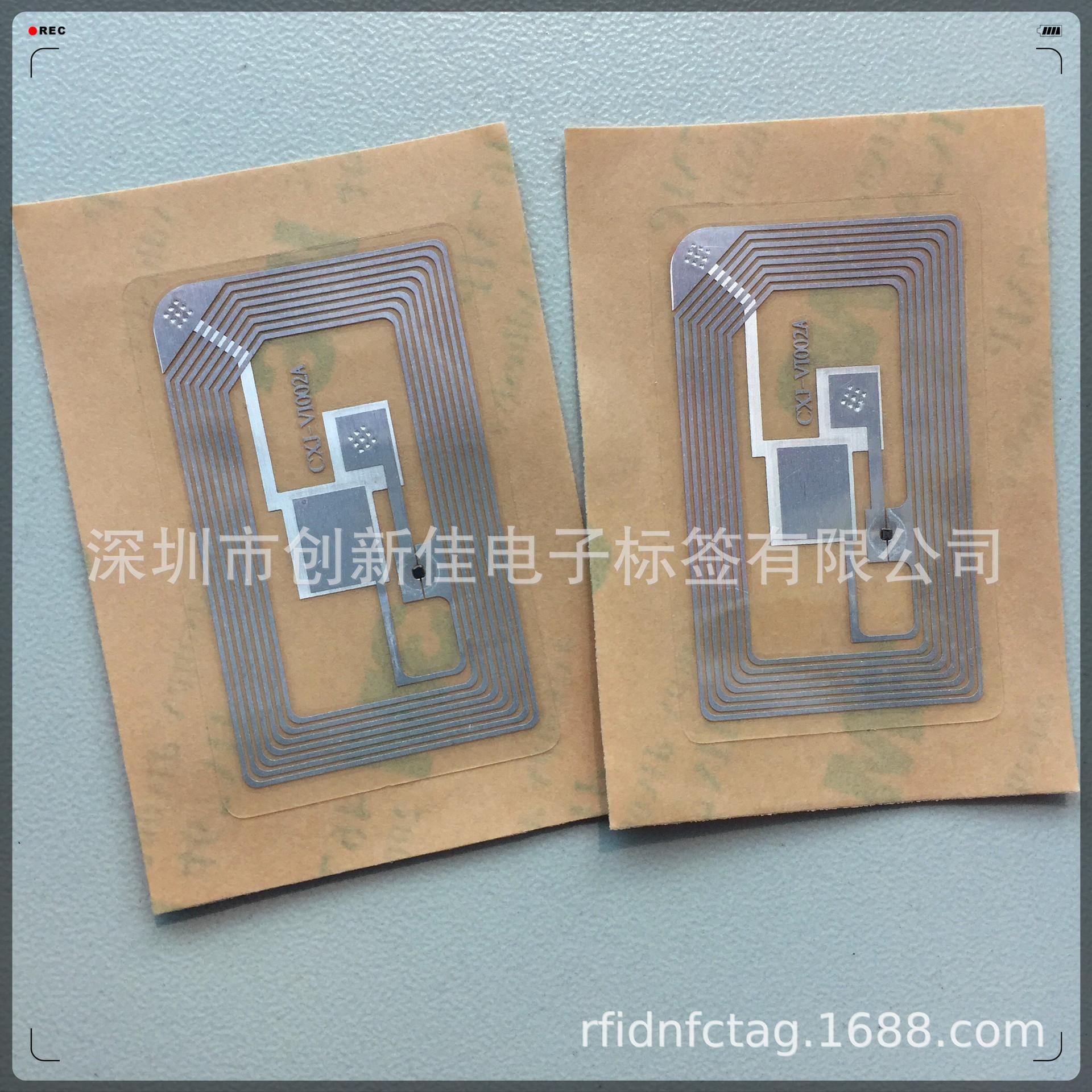 RFID inlay (9)
