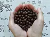 He Xiangzhu Qi Morado Viniendo del Este He Xiangzhu Pulsera DIY Cuentas Pulsera de Cuentas con Aroma Medicinal Ámbar de Dragón Blanco Cuentas de los Cinco Elementos