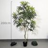 Planta de madera de pavo real de imitación, árbol, decoración del hogar, planta falsa, planta verde de suelo, planta en maceta de interior, planta verde de madera de pavo real grande