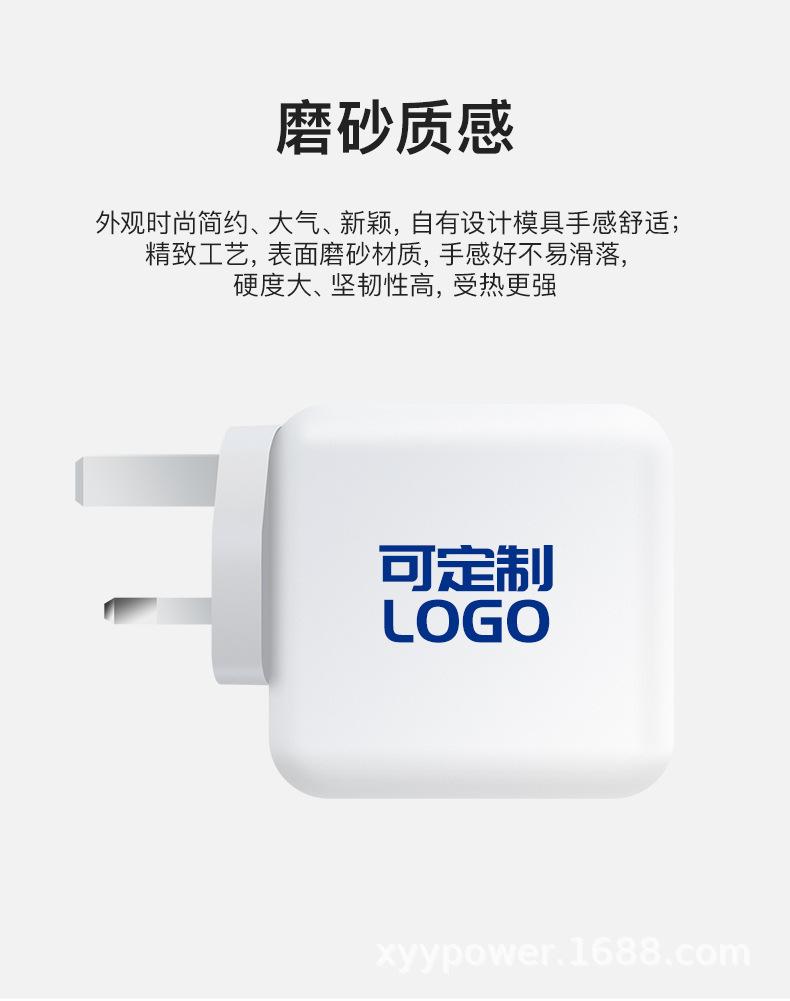 PD100W氮化镓C+C英规