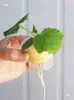 Cestas de Plantio para Vegetais Hidropônicos, Dispositivo de Fixação de Raízes, Equipamento de Cultivo Sem Solo, Bandejas de Plantio, Copos de Plantio, Copos para Cultivo de Vegetais em Varanda