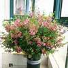 Plántulas de Flor de Hibisco Piruleta, Plantas en Maceta para Balcón y Jardín, Plantas Resistentes al Frío, Tolerantes al Calor, Fáciles de Cuidar, Florecen Todo el Año