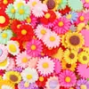 Nuevos Accesorios de Flores de Resina de Crisantemo y Girasol, Pinzas para el Cabello, Parches Creativos de Bricolaje para Crocs, y Accesorios de Cuentas de Dibujos Animados