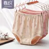 Calcinhas Caneladas 100% Algodão para Mulheres de Meia-Idade e Idosas, Cintura Alta, Modelagem Solta, Tamanhos Grandes, Atacado e Dropshipping de Roupa Íntima para Idosos