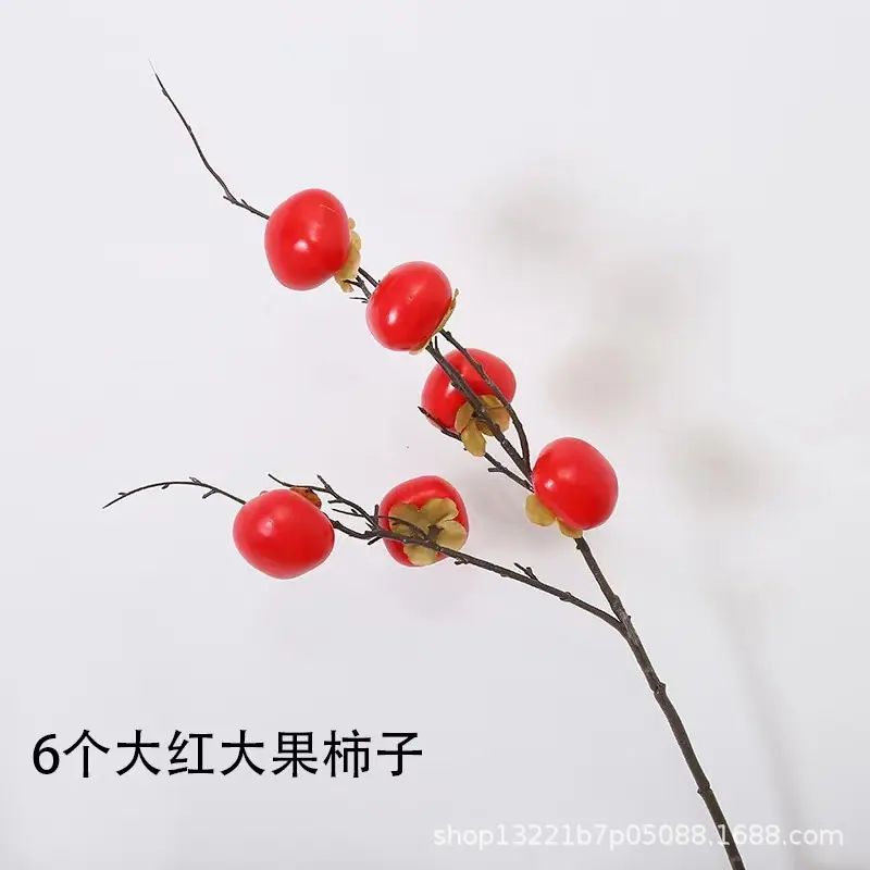 6果柿子.jpg