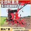 Pequeño motocultivador agrícola doméstico diésel de dos ruedas motrices, de conexión directa, andante, multifuncional, rotocultivador