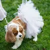 Roupas para Cães de Estimação, Saias para Gatos de Comércio Exterior, Roupas Tutu para Cães Pequenos, Acessórios para Animais de Estimação, Estilo Europeu e Americano Teddy