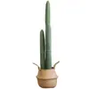 Cactus Rascacielos Plástico Simulación Cactus Plantas de Arena Tropical Celebridad de Internet Decoraciones para Casa de Huéspedes Restaurante