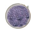 Pó Solúvel em Água de Pólen de Flor de Clitoria Ternatea Matéria-Prima de Grau Alimentício Extrato de Flor de Clitoria Ternatea Pó de Extrato de Planta em Estoque com Frete Grátis