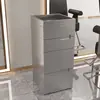 Nuevo Gabinete de Herramientas para Barbería Gabinete para Salón de Peluquería Carrito Móvil Gabinete de Almacenamiento de Herramientas de Madera Maciza Móvil Sin Instalación