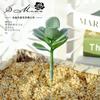 004 Cabeza de Flor de Planta Suculenta Verde Afelpada Suministros Creativos para Bricolaje Accesorios para Colgar en la Pared Decoración de Flores para el Hogar Planta Verde Shangyi