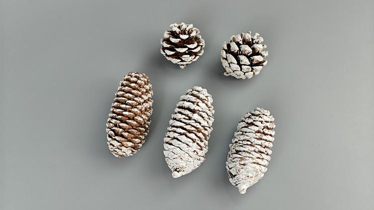 IMG20240705002013_副本1.jpg