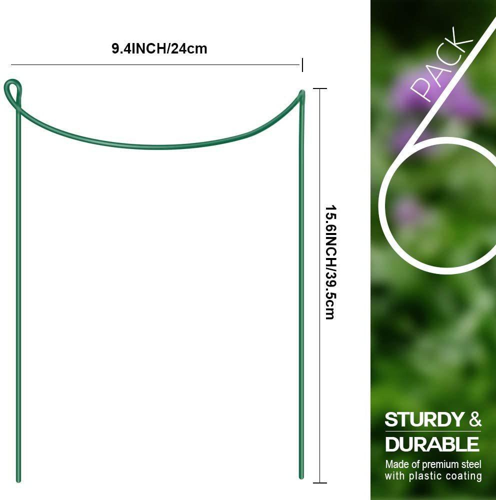 51c6BkQ6Z7L._AC_SL1000_