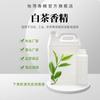 Esencia de té blanco arena para gatos lavado y cuidado champú vela de aromaterapia de hotel fragante fresco y agradable esencia química diaria