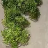 Simulação Galho Longo 3 Garfos Grama Derretida Cena Externa de Hotel Material de Flores Acessórios Material de Decoração de Entrada Interna Flor Artificial
