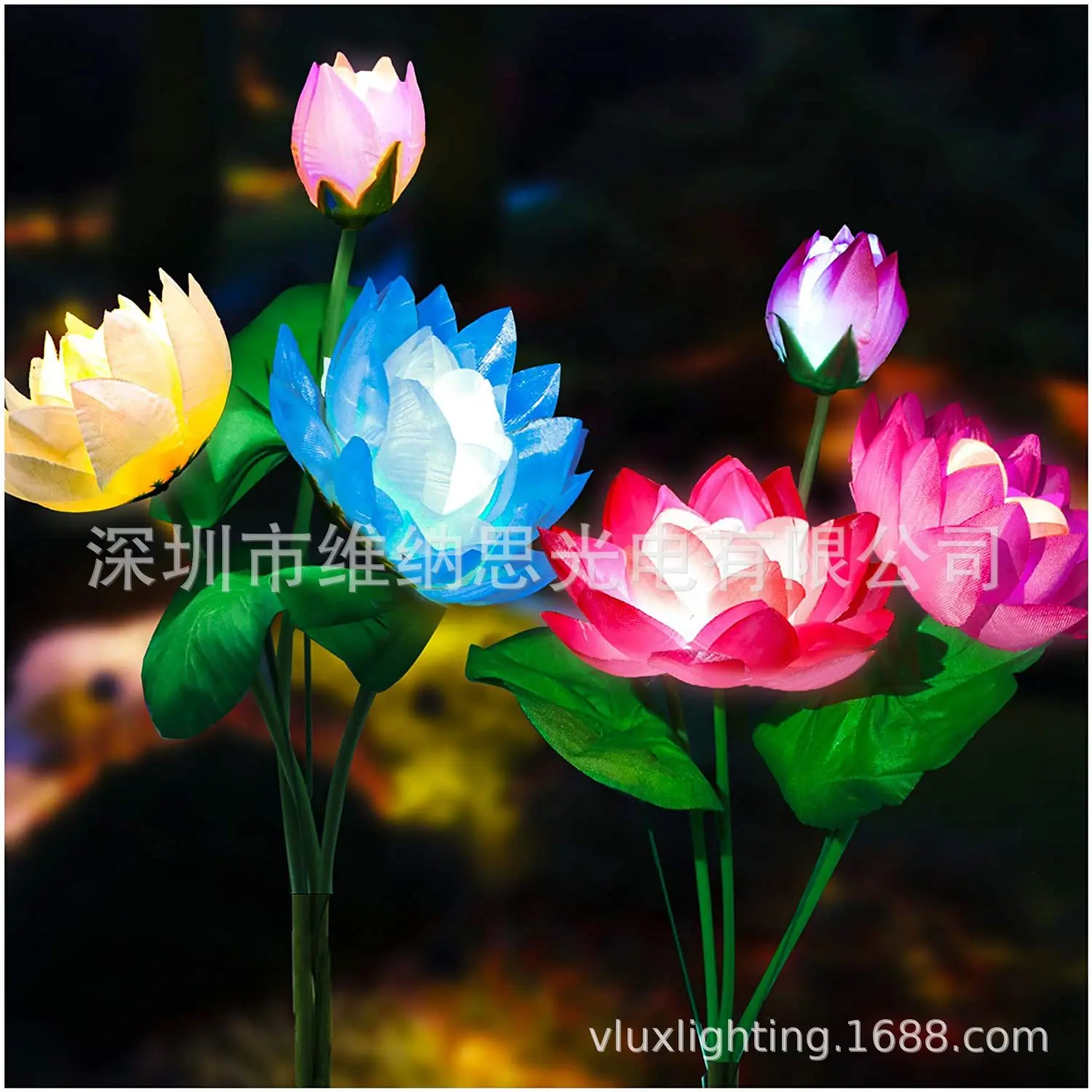 太阳能荷花