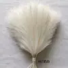 Punto Cruzado Hierba de Pampa Artificial Plumas Simuladas Accesorios de Boda Jardinería Caña Decorativa Simulada Cabello al por Mayor