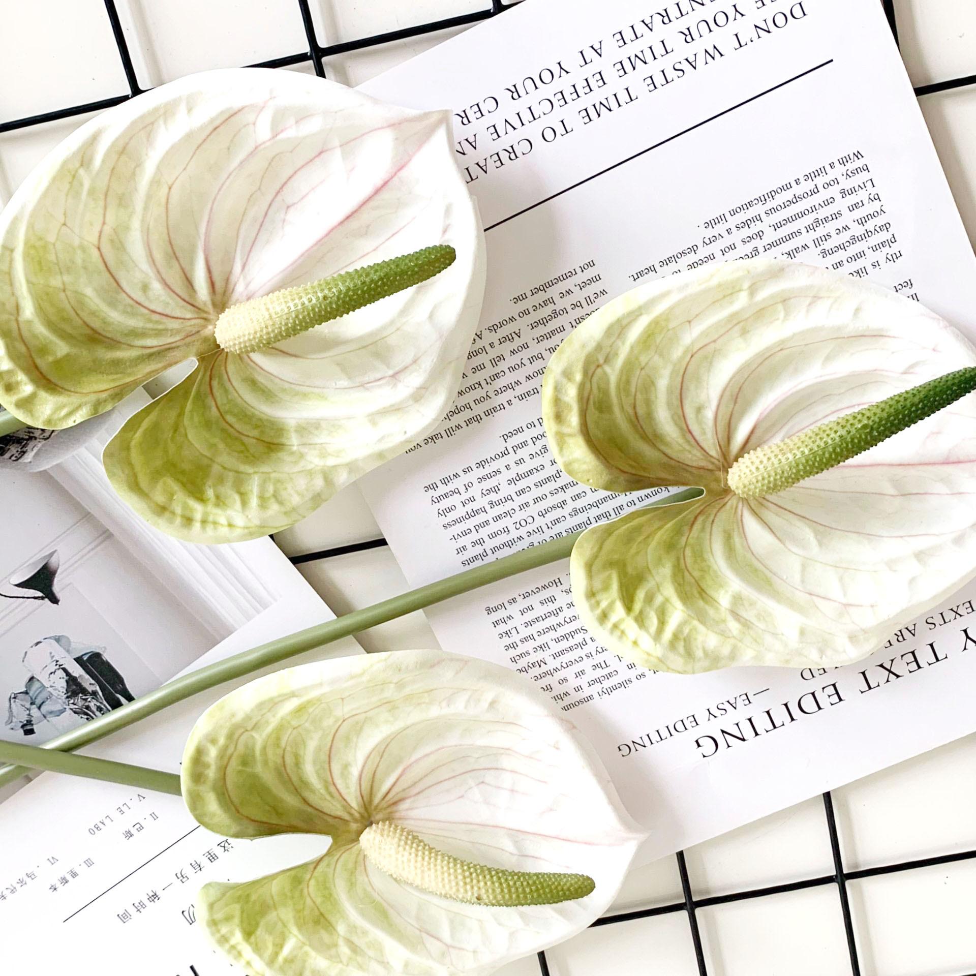 QQ图片20200809102901