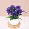 Venta al por mayor transfronteriza de suculentas artificiales, combinaciones de plantas de piña y corazón de plástico en miniatura, flores artificiales, plantas de plástico y artículos de decoración para el hogar