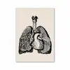Análise de Explosões Transfronteiriças de Várias Partes de Órgãos e Ossos Humanos Pintura em Tela de Poster Pintura de Decoração Moderna para Casa Núcleo