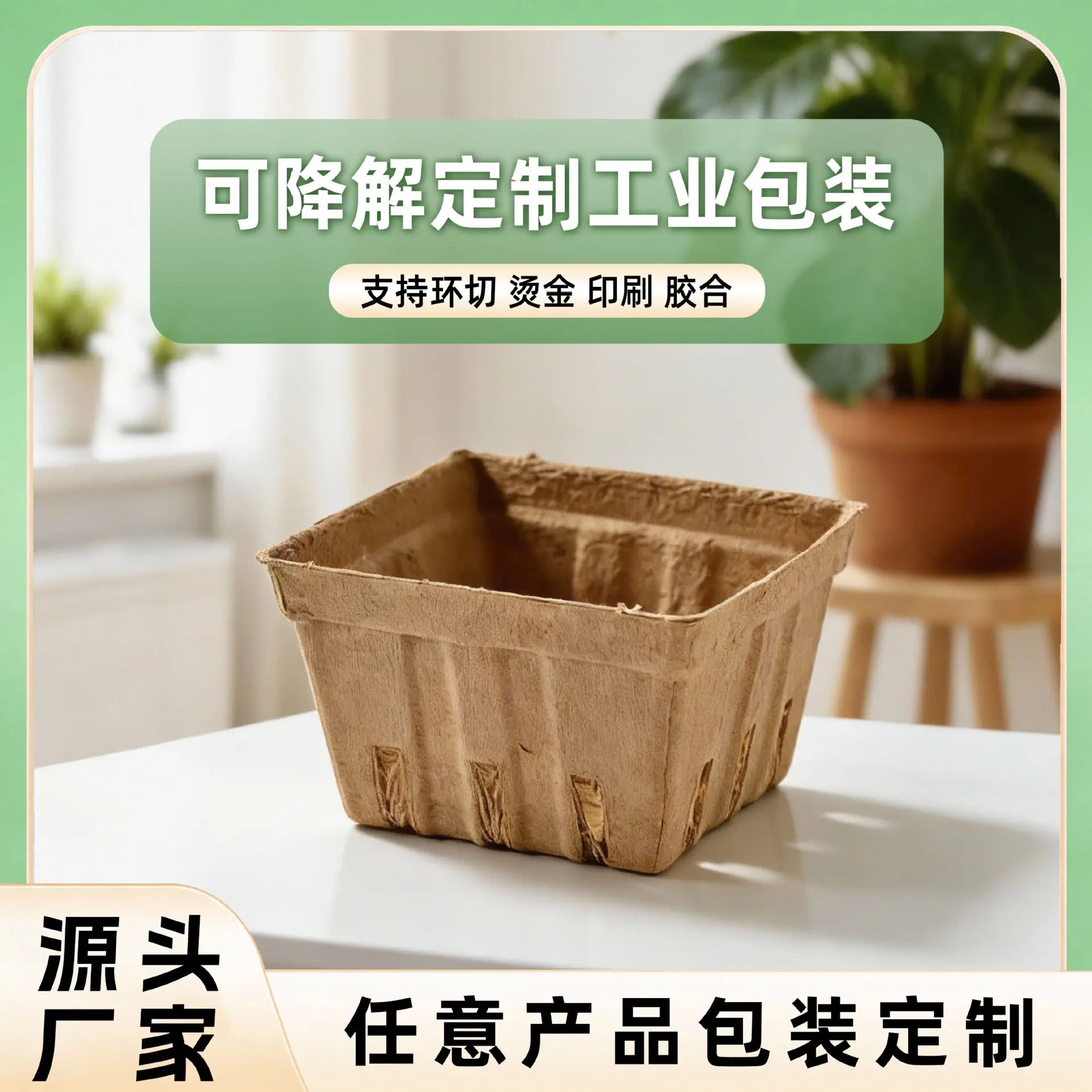3主图.jpg