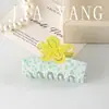 Presilha de Cabelo de Acetato Estilo Coreano com Design Floral, Pequena Pinça de Garra de Acetato Floral, Pinça de Garra para Rabo de Cavalo Alto Estilo Floresta