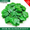 Hoja de Potos flor artificial vid hojas de vid vid de uva decoración de tubo de techo vid plantas verdes de plástico cubriendo enredadera