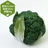 Adereços de vegetais de simulação modelo de vegetal de simulação folhas de alface falsas brócolis repolho adereços de supermercado frutas e vegetais crianças