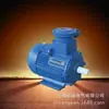 Motor asíncrono trifásico a prueba de explosiones serie YB3 YBX3-160M-4 11KW suministro a velocidad de rayo