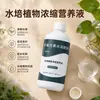 Solução nutritiva para plantas hidropônicas, adequada para bambu da sorte, tulipas e planta-dinheiro, tipo universal