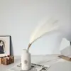 Hierba de Caña Artificial Multicolor Hierba de Pampa Pieza Única Decoración del Hogar Suministros para Bodas Hierba de Juncia Pequeña Hierba Cola de Conejo