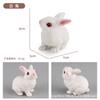Juego de Juguetes Modelo de Animal Artificial para Niños Adornos Cognitivos para Bebé Granja Juego Completo Mundo de Animales Pequeños Niños y Niñas