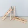 Artesanía de madera creativa Mini escalera Juguetes educativos para niños Muebles en miniatura Decoración Fábrica al por mayor