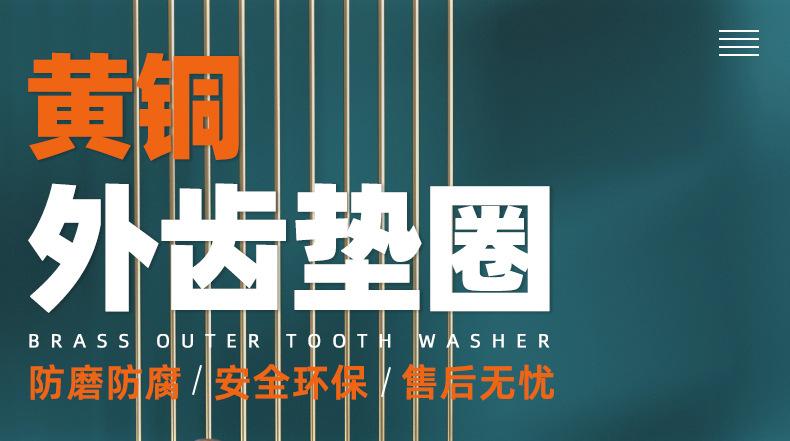 黄铜外齿止动垫圈_01_01.jpg