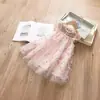 Vestido de Malha com Flor Tridimensional para Crianças Verão 2025 Estilo Coreano Estilo Ocidental Roupa para Meninas Bebês Vestido Princesa Linha A