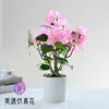 Buganvilia Pequeño Bonsái Flor Artificial de Alta Gama Decoración Interior Creativa Planta Verde Fabricante de Amazon Planta en Maceta Artificial Flor Artificial