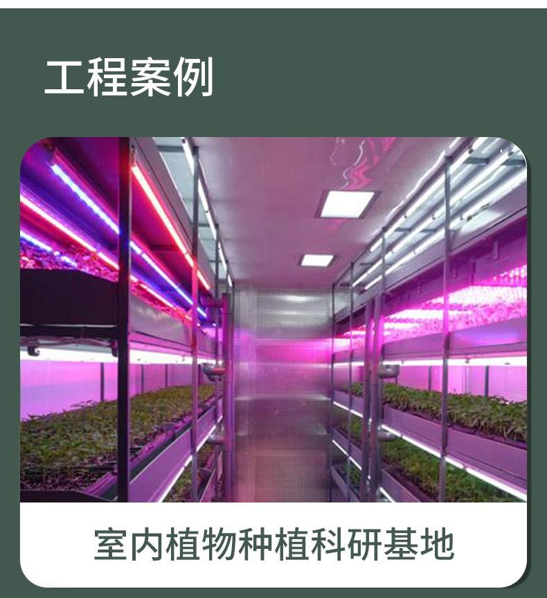 17188927646_702480767