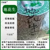 Yuanzhi del Suroeste Yuanzhi Tibetano Fanzhuanhong Cerdo Intestino Grueso Niang Mu Liang Leng Bei Medicina Herbal China al por Mayor para Cacahuates